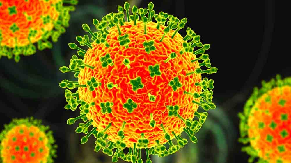 Virus Nipah in India, perch&eacute; desta attenzione ma non allarme globale